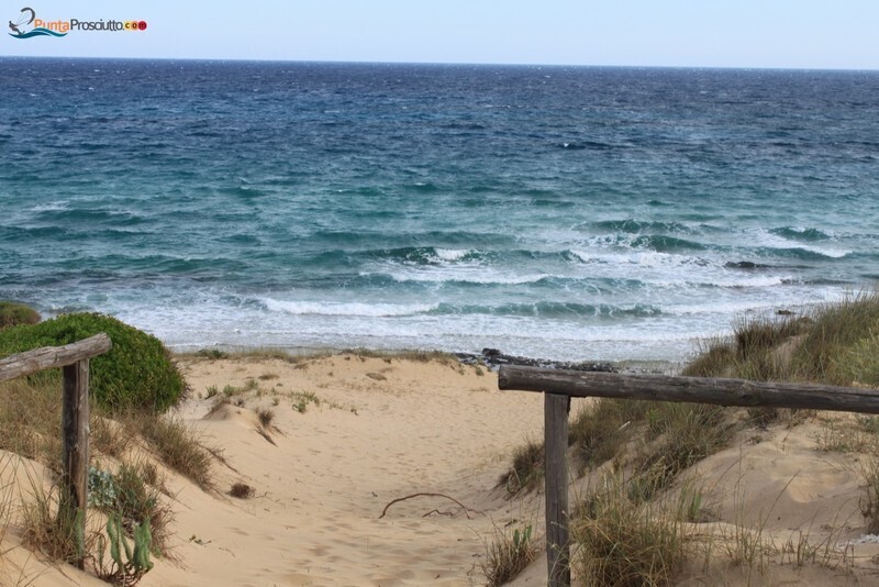 Spiaggia dune di campo marino Frn