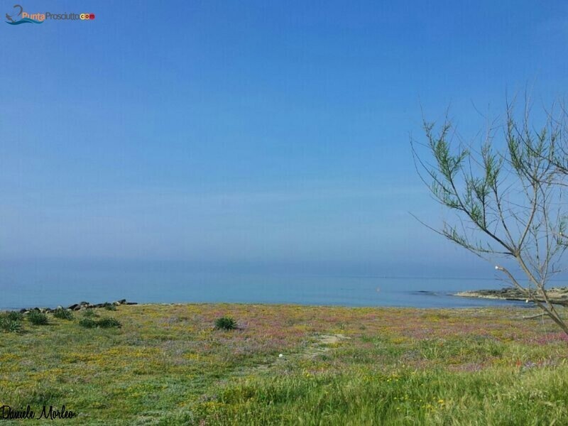 Spiaggia specchiarica i YO