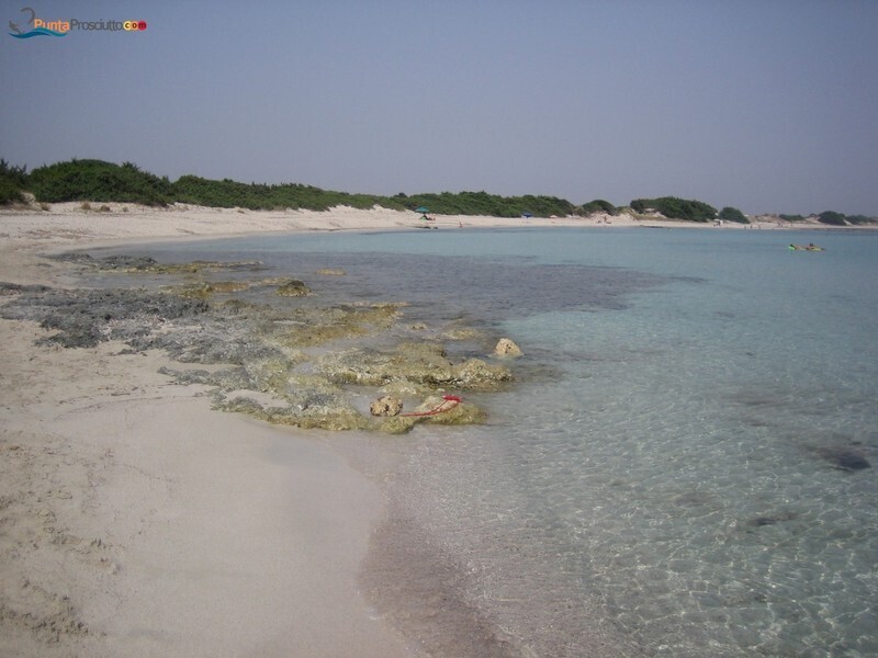Spiaggia spiaggetta palude del conte IR6