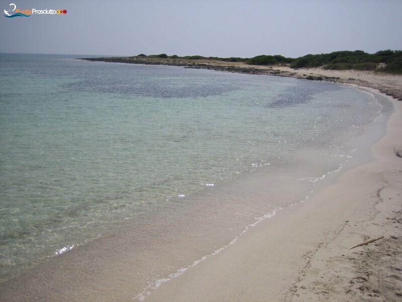 Spiaggia spiaggetta palude del conte Ms B