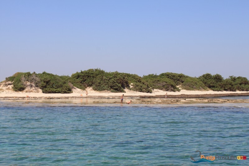 Spiaggia spiaggetta palude del conte P4 N