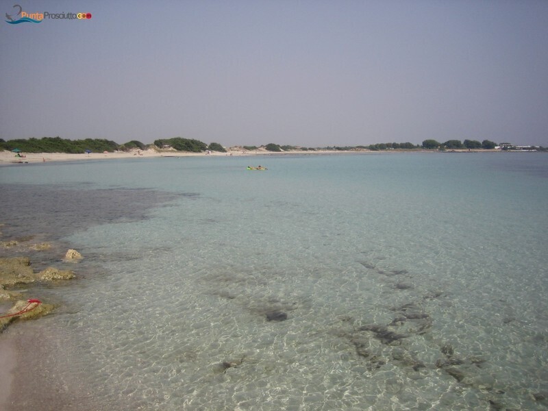 Spiaggia spiaggetta palude del conte Qi H