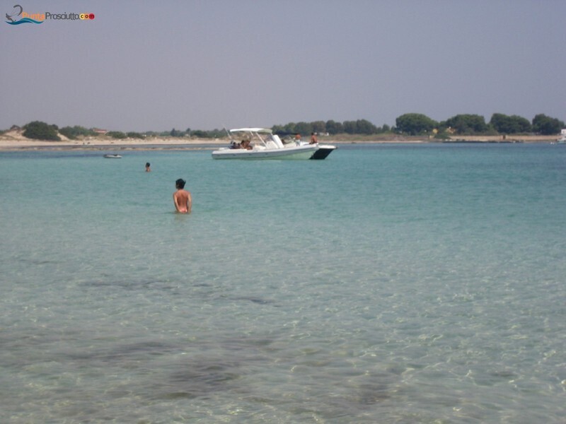 Spiaggia spiaggetta palude del conte T3d