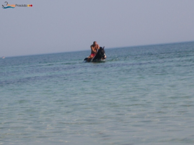 Spiaggia spiaggetta palude del conte Vk3