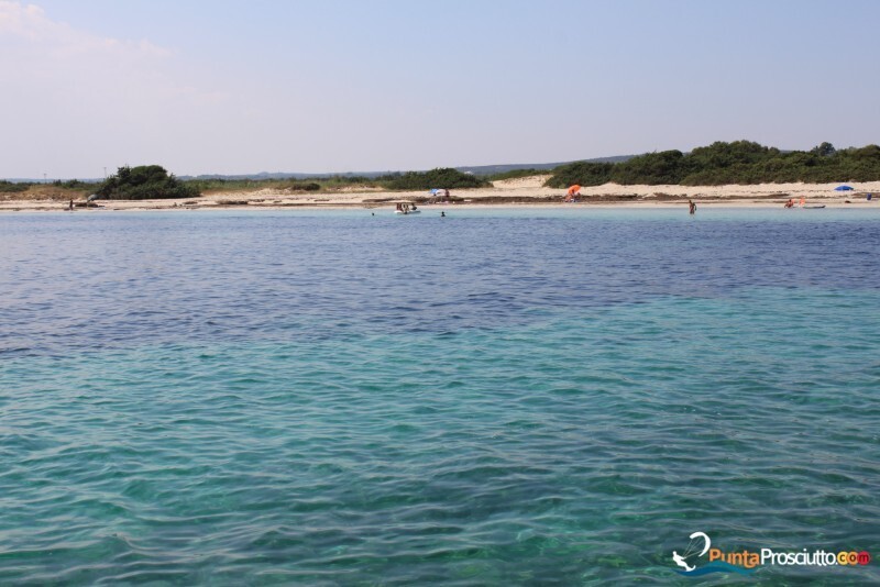 Spiaggia spiaggetta palude del conte g Wf