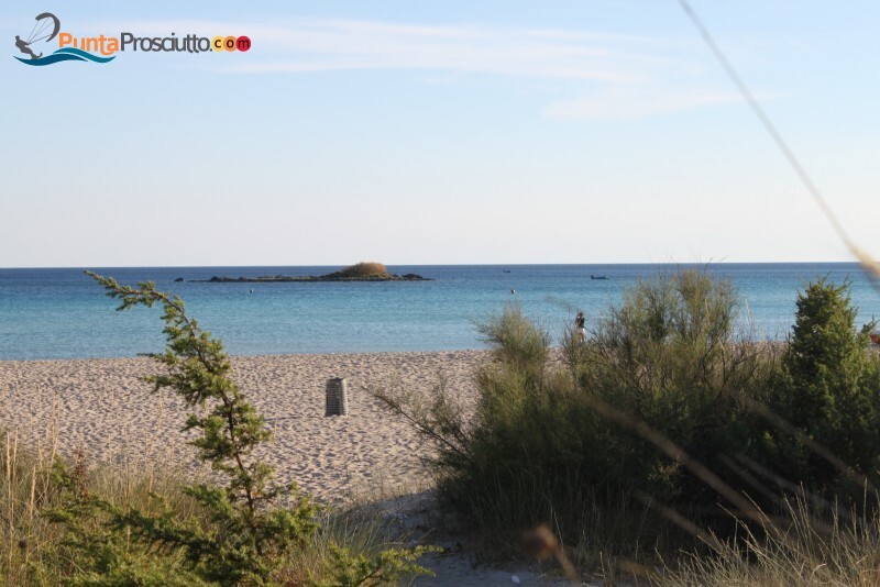 Spiaggia spiaggia di torre chianca Url