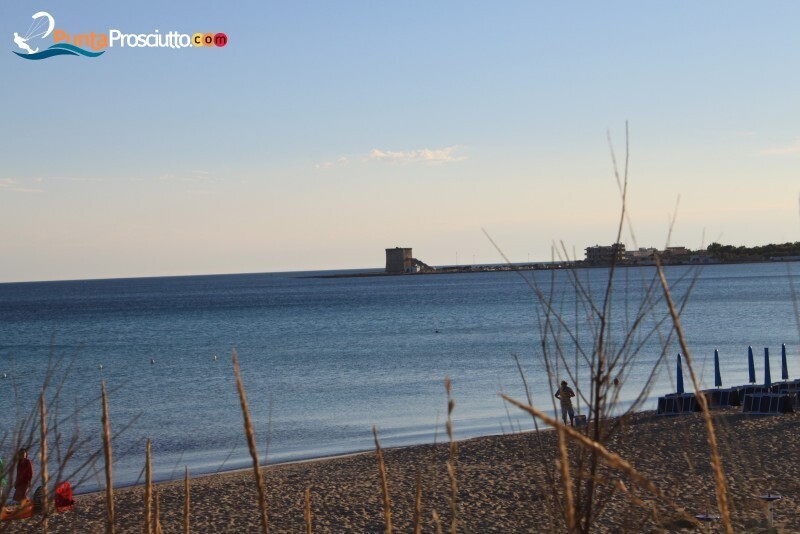 Spiaggia spiaggia di torre lapillo qcy