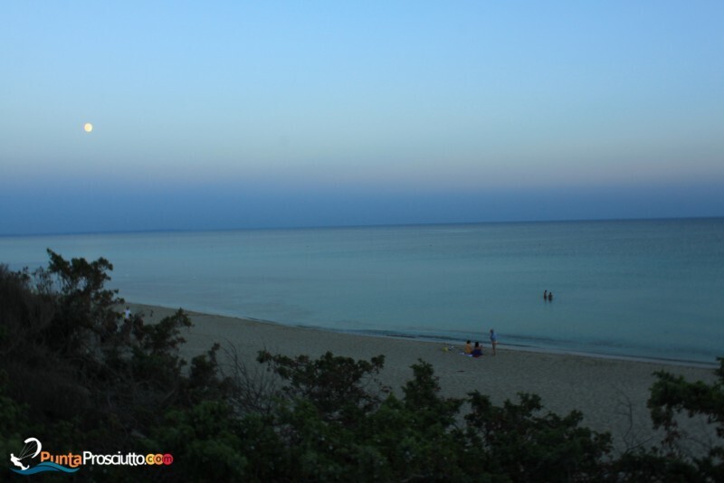 Spiaggia spiaggia riva degli angeli 1a X