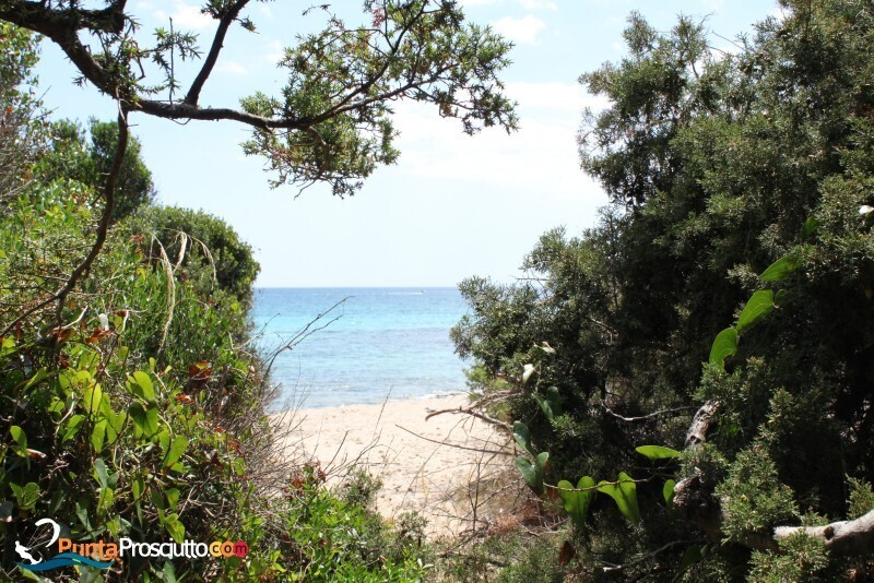 Spiaggia spiaggia riva degli angeli U Ef