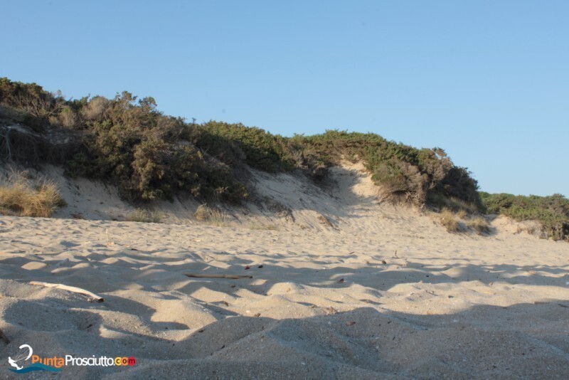 Spiaggia spiaggia riva degli angeli Yow