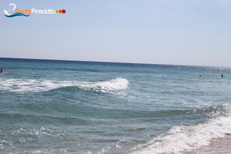 Spiaggia spiaggia riva degli angeli fr1