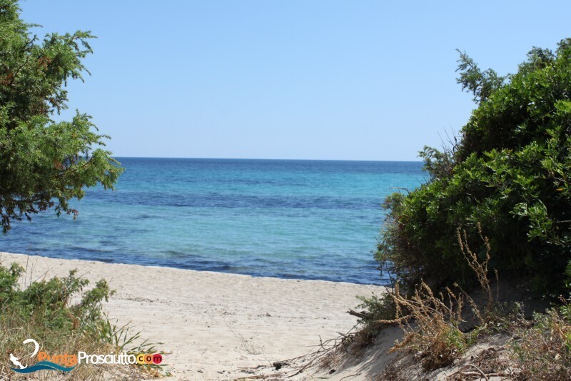 Spiaggia spiaggia riva degli angeli i4 K