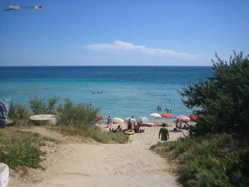 Spiaggia spiaggia san pietro in bevagna YHX