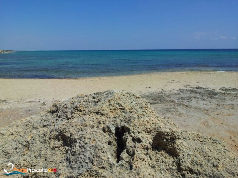 Spiaggia spiaggia zona torre borraco 8 Nl