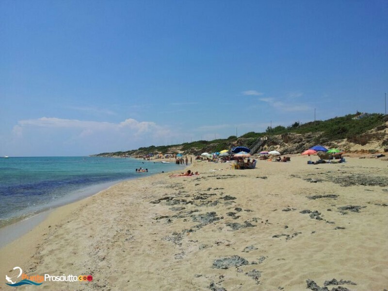 Spiaggia spiaggia zona torre borraco Z67