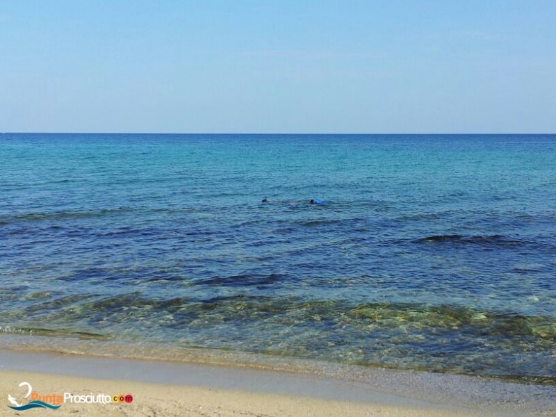 Spiaggia spiaggia zona torre borraco cnb