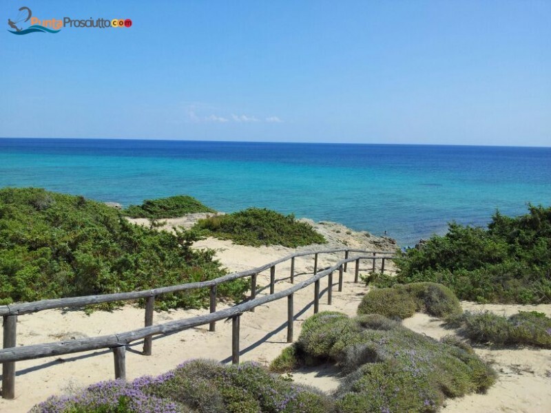 Spiaggia spiaggia zona torre borraco j Qk