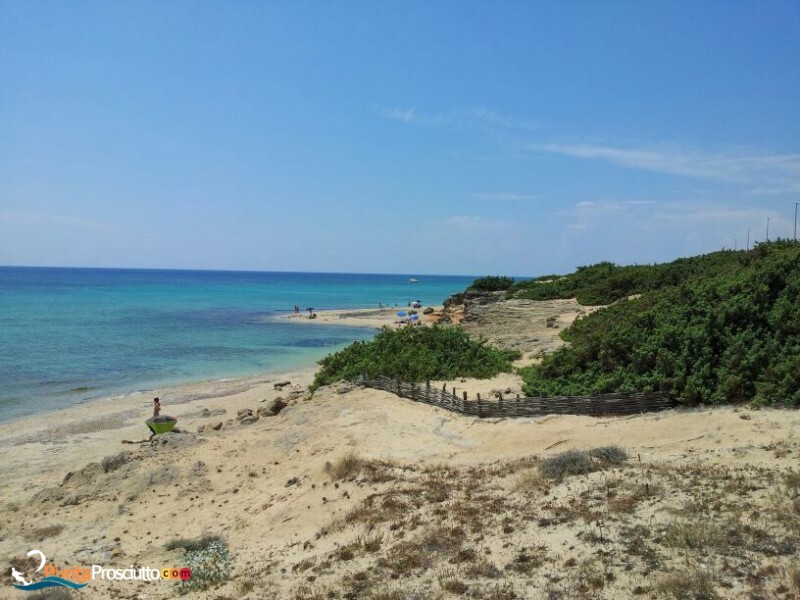 Spiaggia spiaggia zona torre borraco k K3