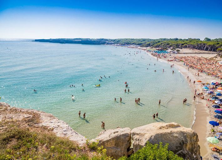 Sud torre dell orso