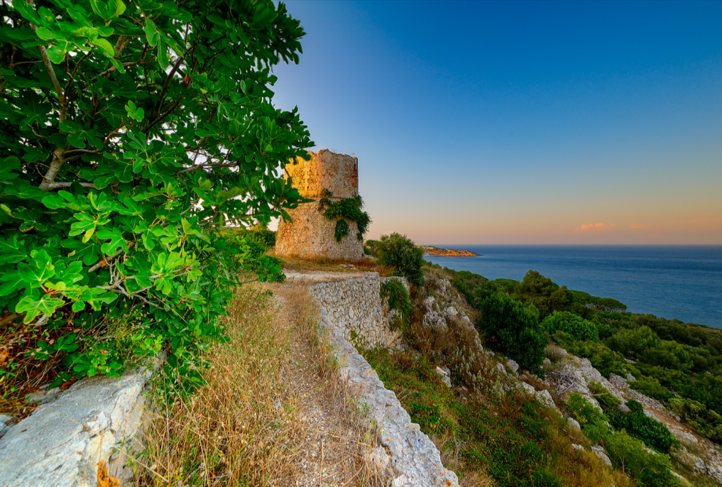 Torre del Lupo