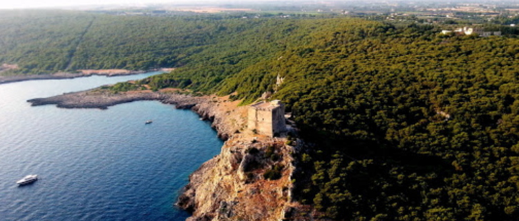 Torre dell alto salento