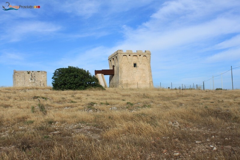 Torre torre borraco F9m