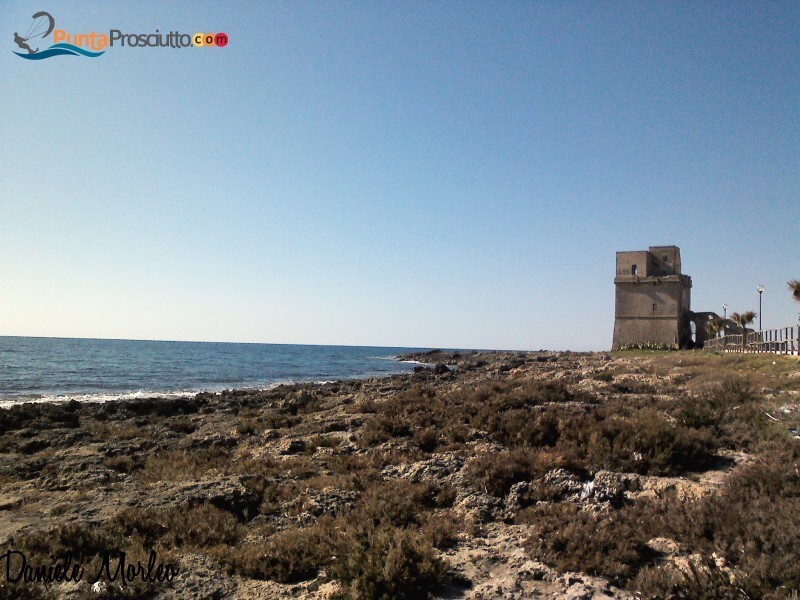 Torre torre di torre colimena beq